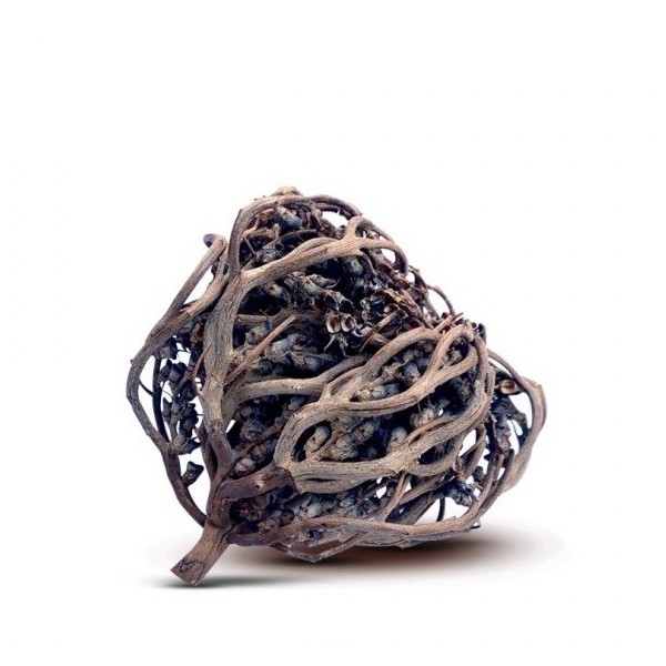 Rose de Jericho (Shajarat Maryam) 20g - 100% Naturelle - Les Créateurs Bio