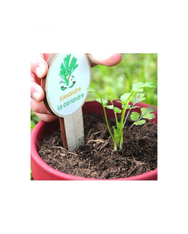 Kit herbes aromatiques bio des enfants - Jardinage - Les petits Radis