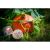 Masque Bio Cocooning Au Potimarron - 50 ml - Beauty Garden