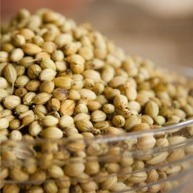 Coriandre en poudre d'Inde 250g - La Brigade des Épices