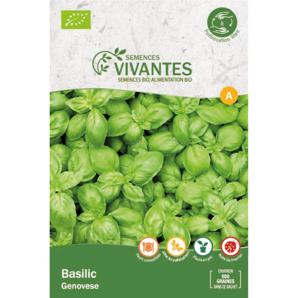 Graines de Basilic Genovese Bio - Sachet de 600 graines à planter - Semences Vivantes