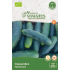 Graines de Concombre Marketmore Bio - Sachet de 25 graines à planter - Semences Vivantes