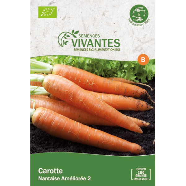 Graines de Carotte Nantaise Améliorée 2 Bio - Sachet de 2200 graines à planter - Semences Vivantes