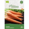 Graines de Carotte Nantaise Améliorée 2 Bio - Sachet de 2200 graines à planter - Semences Vivantes