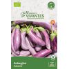 Graines de Aubergine Tsakoniki Bio (Demeter) - Sachet de 25 graines à planter - Semences Vivantes