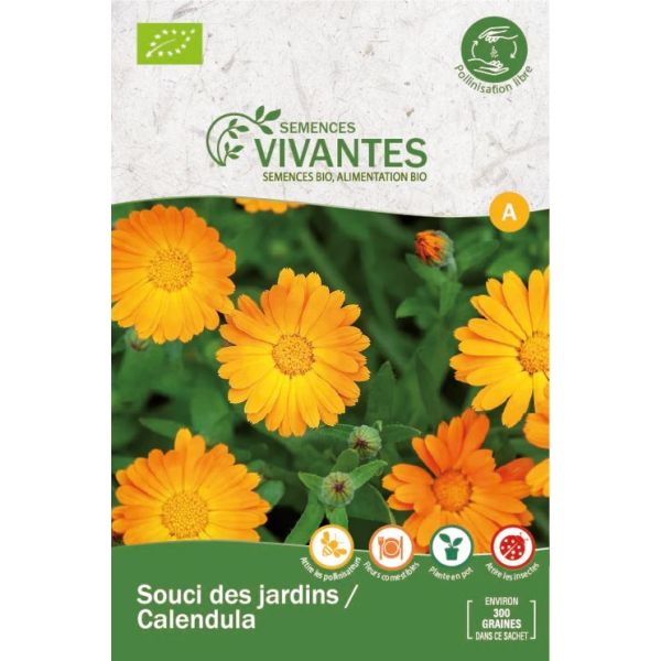 Graines de Souci des jardins / Calendula Bio - Sachet de 300 graines à planter - Semences Vivantes