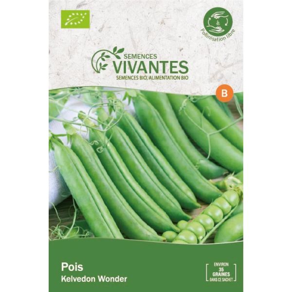 Graines de Pois Kelvedon Wonder Bio - Sachet de 35 graines à planter - Semences Vivantes