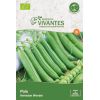 Graines de Pois Kelvedon Wonder Bio - Sachet de 35 graines à planter - Semences Vivantes