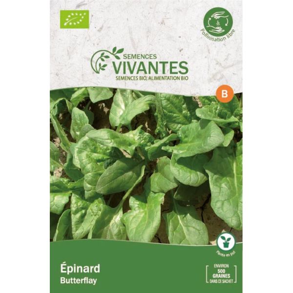 Graines d'Épinard Butterflay Bio (Demeter) - Sachet de 500 graines à planter - Semences Vivantes