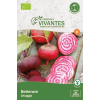 Graines de Betterave Chioggia - Sachet de 250 graines à planter - Semences Vivantes