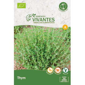 Graines de Thym Bio - Sachet de 1900 graines à planter - Semences Vivantes