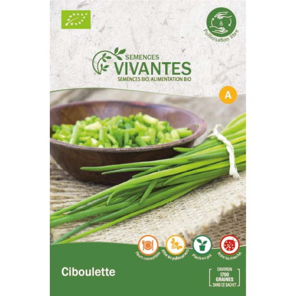 Graines de Ciboulette Bio - Sachet de 1700 graines à planter - Semences Vivantes