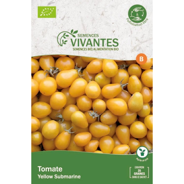 Graines de Tomate Cerise Bio (Yellow Submarine) Bio - Sachet de 350 graines à planter - Semences Vivantes