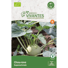 Graines de Chou-Rave Bio (Superschmelz) - Sachet de 80 graines à planter - Semences Vivantes