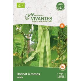 Graines de Haricot à rames Bio (Helda) - Sachet de 15 graines à planter - Semences Vivantes