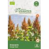 Graines de Amarante Bio (orange Giant) - Sachet de 1000 graines à planter - Semences Vivantes