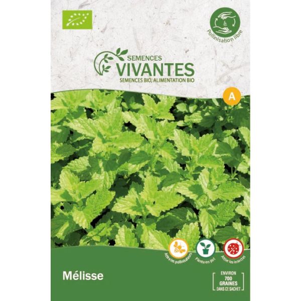 Graines de Mélisse Bio - Sachet de 700 graines à planter - Semences Vivantes