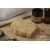 Éponge LOOFAH (Luffa) pour corps - Jolis Baumes