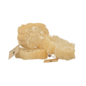Éponge LOOFAH (Luffa) pour corps - Jolis Baumes
