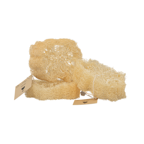 Éponge LOOFAH (Luffa) pour corps - Jolis Baumes