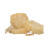 Éponge LOOFAH (Luffa) pour corps - Jolis Baumes