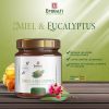 Miel et Eucalyptus - 250g - Emirati Gouts & Saveurs