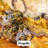 Miel avec Propolis - 400g - L'ABELLA MEL