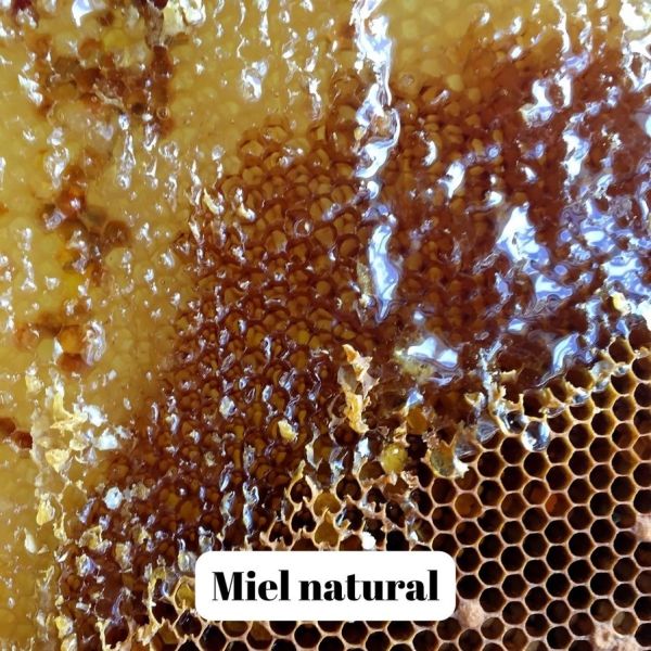 Miel et Gelée Royale - 400g - L'ABELLA MEL