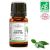 Huile essentielle de Laurier noble BIO (AB) 10 ml - MyCosmetik