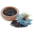 Graines Nigelle (Cumin Noir) d'Egypte - 100g - EPICES 777 (Ethnika)
