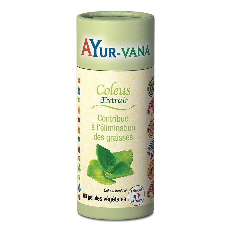 Coleus (10 % de forskoline) - 60 gélules - Ayur-Vana