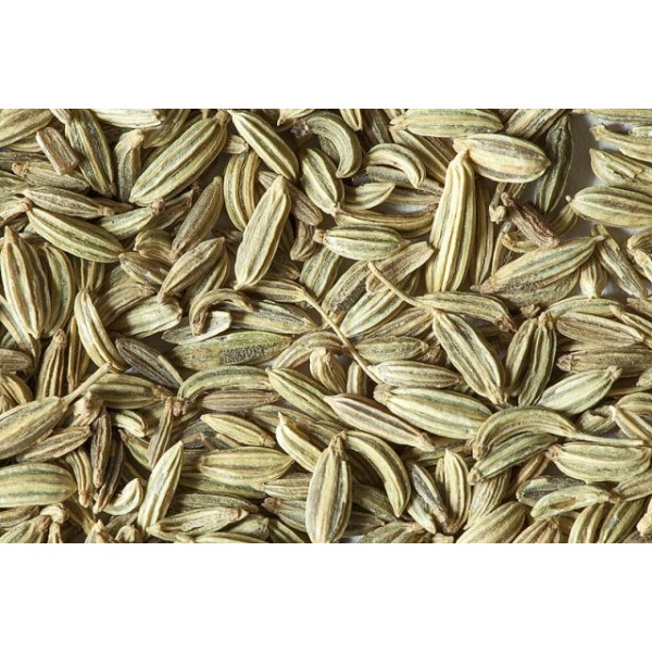 Graines de Fenouil - 50g - Kwefati