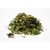 Tisane Détox Bio Du Printemps - Sachet - (Ortie, pensée sauvage, menthe poivrée et cassis) - 18g - Beauty Garden