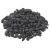 Poudre de Graines de Nigelle (Habachiya - Cumin Noir) d'Éthiopie - 100% Naturelles - 100g - Wadi Shibam