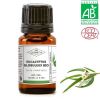 Huile essentielle d'Eucalyptus globuleux BIO (AB) 10 ml - MyCosmetik