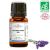 Huile essentielle de lavande Aspic BIO (AB) 10 ml - MyCosmetik
