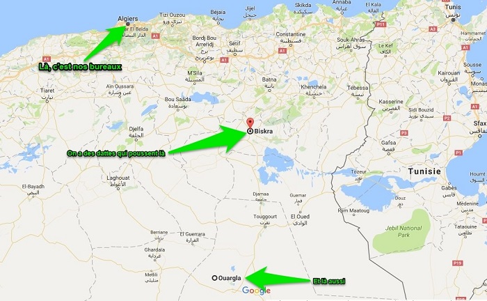 forme-produit-dattes-bio-conditionnees-denoyautees-plat - SED OASIS :  producteur de dattes Deglet Nour en Algérie