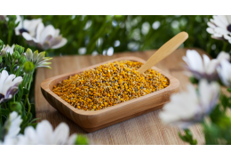 Quels sont les bienfaits du pollen de fleurs ?