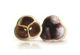 Top 5 des bienfaits de l'Huile de Cacay - Anti-Âge, Acné, eczéma et psoriasis