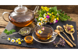 Les meilleures plantes bio pour soulager naturellement le stress